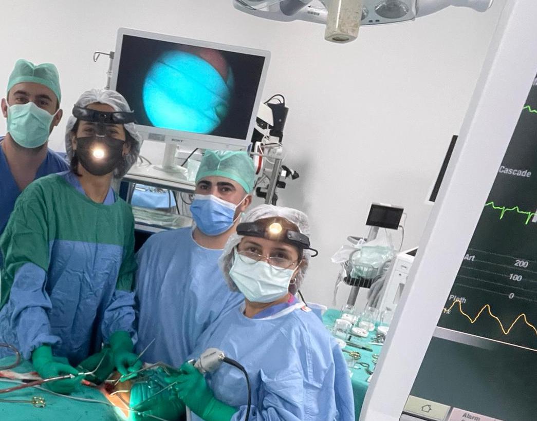 Team and advanced technology form the basis of operations.